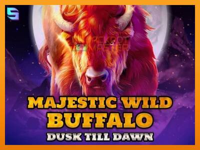 Majestic Wild Buffalo - Dusk Till Dawn - ម៉ាស៊ីនល្បែងលុយ